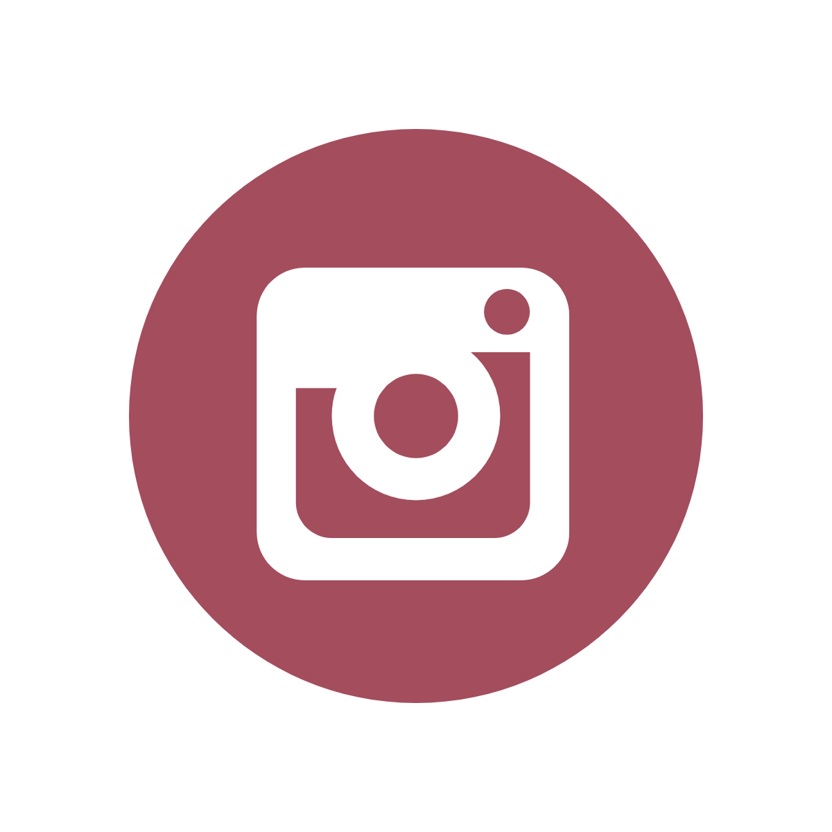 Instagram Icon